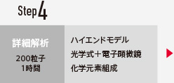 step4 詳細解析 200粒子1時間 ハイエンドモデル 光学式+電子顕微鏡 化学元素組成
