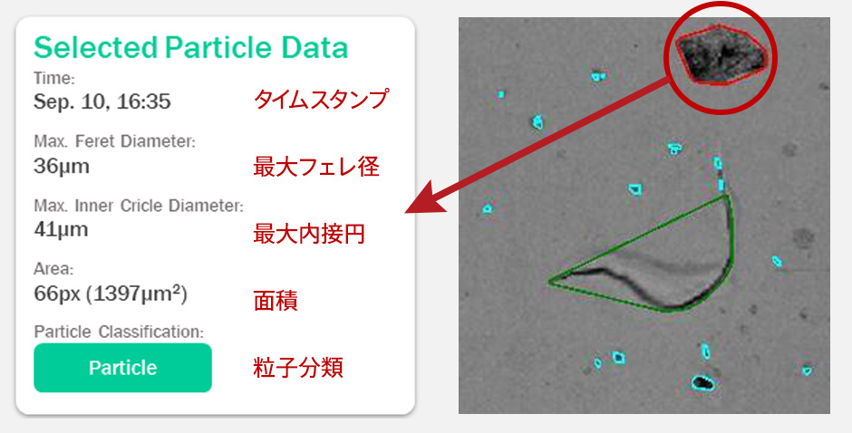 独自アルゴリズムによる異物解析イメージ　※画像は開発中のものです