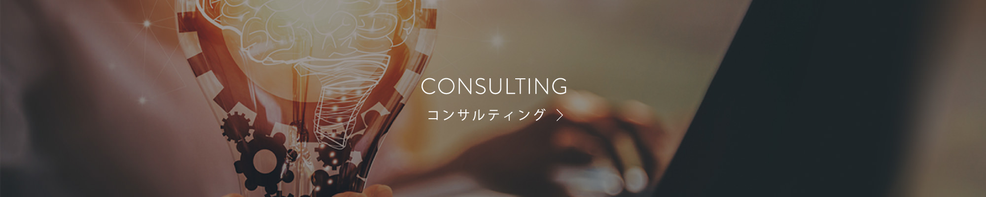 CONSULTING コンサルティング