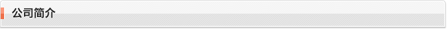 公司简介