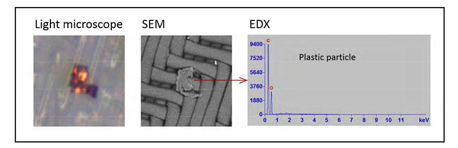 光学式 VS SEM/EDX （光学式は材質特定には至らない）