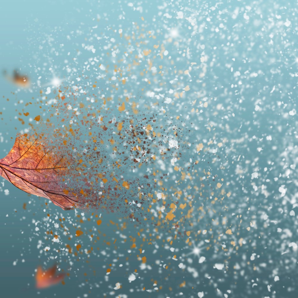 particles fallout
